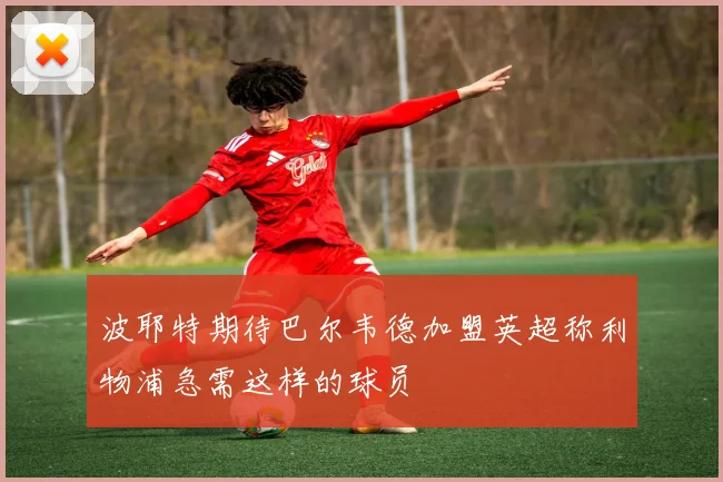 波耶特期待巴尔韦德加盟英超称利物浦急需这样的球员