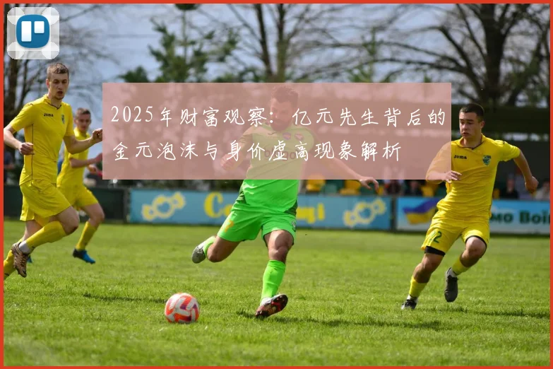 2025年财富观察：亿元先生背后的金元泡沫与身价虚高现象解析