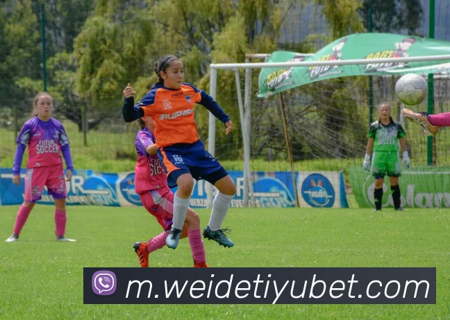 伟德体育服务体系